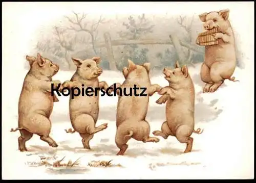 POSTKARTE SCHWEINE TANZEN PANFLÖTE VERMENSCHLICHT pig cochon maiale Schwein porc Flöte pan flute Ansichtskarte postcard