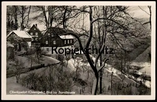 ALTE POSTKARTE OBERKIPSDORF OSTERZGEBIRGE BLICK ZUR BRANDBAUDE ERZGEBIRGE KIPSDORF SACHSEN ALTENBERG Ansichtskarte AK