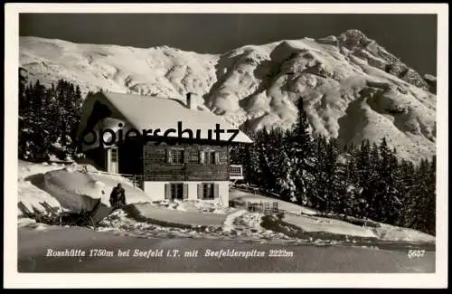 ALTE POSTKARTE SEEFELD IN TIROL ROSSHÜTTE MIT SEEFELDERSPITZE AK Ansichtskarte postcard cpa