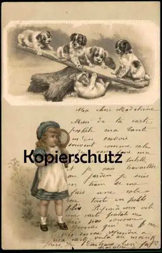 ALTE POSTKARTE MÄDCHEN MIT LAWN TENNIS SCHLÄGER HUNDE SPIELEN WELPEN AUF WIPPE BERNHARDINER Ansichtskarte postcard cpa
