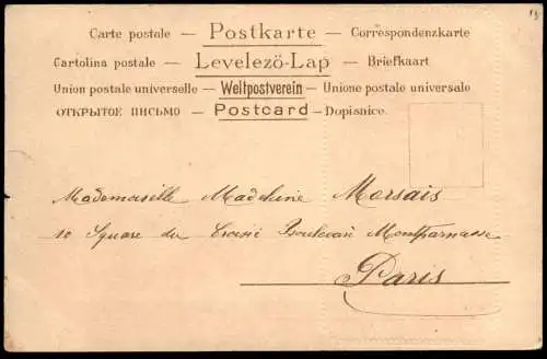 ALTE POSTKARTE MÄDCHEN MIT LAWN TENNIS SCHLÄGER HUNDE SPIELEN WELPEN AUF WIPPE BERNHARDINER Ansichtskarte postcard cpa