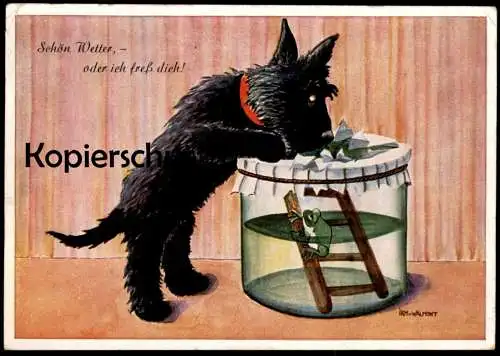 ALTE POSTKARTE SCHÖN WETTER ODER ICH FRESS DICH AUF HUND & FROSCH IRM VON WALMONT dog frog chien grenouille postcard cpa