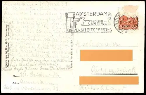 ALTE POSTKARTE HERBERT VAN DER POLL JONGE BRUINE BEREN BÄREN BRAUNBÄREN NATURA ARTIS MAGISTRA AMSTERDAM postcard cpa AK