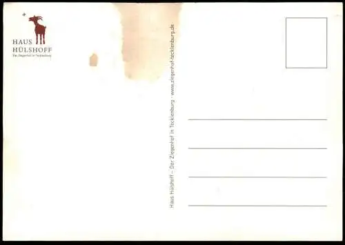 POSTKARTE ZWERGE AUF SCHLITTEN MIT ZIEGE HAUS HÜLSHOFF TECKLENBURG WEIHNACHTEN ZWERG GLOCKE dwarf midget nains nain AK