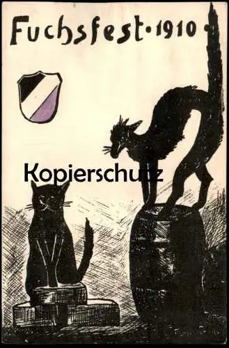 ALTE POSTKARTE ALFELD LEINE FUCHSFEST 1910 KATZE FUCHS Burschenschaft Studentika cat chat Ansichtskarte AK cpa postcard