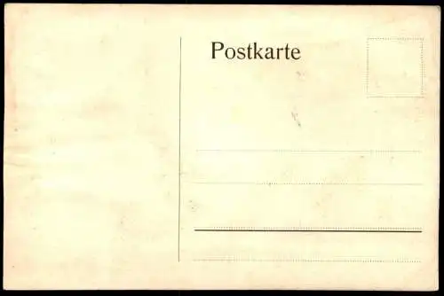 ALTE POSTKARTE ALFELD LEINE FUCHSFEST 1910 KATZE FUCHS Burschenschaft Studentika cat chat Ansichtskarte AK cpa postcard