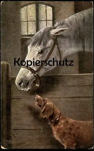 ALTE KÜNSTLER POSTKARTE HUND MIT PFERD SCHIMMEL white horse dog cheval blanc chien Ansichtskarte AK cpa postcard