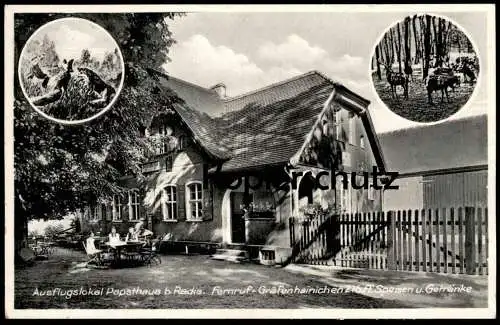 ALTE POSTKARTE RADIS AUSFLUGSLOKAL PAPSTHAUS KEMBERG FERNRUF GRÄFENHAINICHEN SPEISEN SACHSEN-ANHALT Ansichtskarte AK cpa