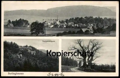 ALTE POSTKARTE BORLINGHAUSEN TEUTONIAKLIPPEN EICHE PANORAMA WILLEBADESSEN IN WESTFALEN oak tree Ansichtskarte postcard