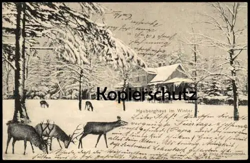 ALTE POSTKARTE HEUBERGHAUS IM WINTER REH HIRSCH FRIEDRICHRODA Wild Rehe Hirsche roe deer Ansichtskarte AK postcard cpa