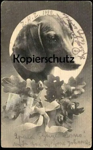 ALTE POSTKARTE DACKEL EICHENLAUB EICHELN EICHE HUND Dachshund Teckel basset dog chien 1920 Verlag aus Berlin AK postcard
