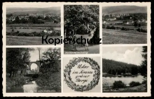 ÄLTERE POSTKARTE USLAR IM KRANZE GRÜNER BERGE HOCHWILD IM SOLLING PARITE IM EICHHÖLZCHEN NEUER TEICH