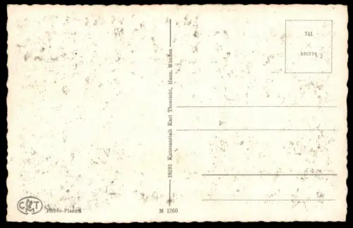 ÄLTERE POSTKARTE USLAR IM KRANZE GRÜNER BERGE HOCHWILD IM SOLLING PARITE IM EICHHÖLZCHEN NEUER TEICH