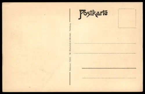 ALTE POSTKARTE DETMOLD KRUMME STRASSE Ansichtskarte AK