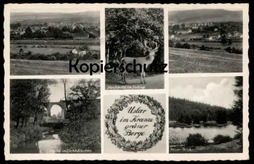 ÄLTERE POSTKARTE USLAR IM KRANZE GRÜNER BERGE HOCHWILD IM SOLLING PARITE IM EICHHÖLZCHEN NEUER TEICH