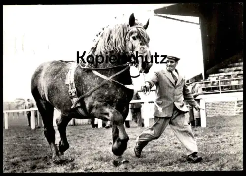 ÄLTERE POSTKARTE PFERD MIT ZÜCHTER PERCHERON ÉLEVAGE ANGLAIS horse cheval Ansichtskarte AK cpa postcard