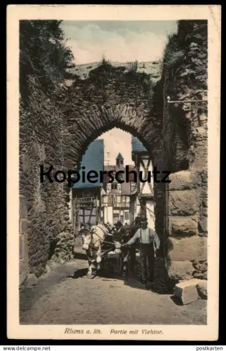 ALTE POSTKARTE RHENS AM RHEIN PARTIE MIT VIEHTOR KUH WAGEN cow Ansichtskarte