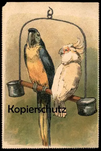 ALTE KÜNSTLER POSTKARTE PAPAGEIEN PAAR AUF EINER STANGE PAPAGEI Parrot Ara Perroquet postcard cpa AK Ansichtskarte
