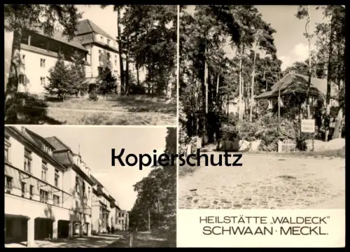 ÄLTERE POSTKARTE SCHWAAN HEILSTÄTTE WALDECK MECKLENBURG VORPOMMERN Ansichtskarte AK cpa postcard