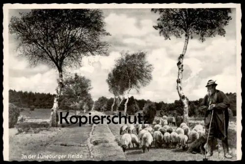 ÄLTERE POSTKARTE IN DER LÜNEBURGER HEIDE Beruf Hirte Schäfer sheepherder berger sheep Schaf Schafe postcard AK