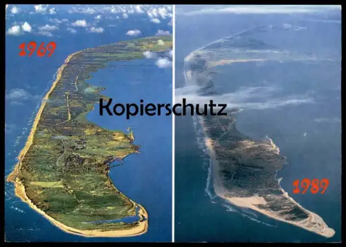 ALTE POSTKARTE KIND SCHWEIN ZWERG BABY NEUJAHR SIGN. ILSE NORDHAUS enfant child dwarf midget nain pig cochon postcard AK