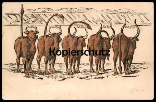 ALTE POSTKARTE BULLEN STEHVERMÖGEN 20 - 60 ANS 20 - 60 JAHRE EROTIK Erektion erection Rind Schwanz Kuh erotic postcard