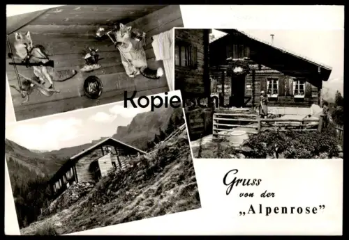 ÄLTERE POSTKARTE GRUSS VON DER ALPENROSE MAYRHOFEN FUCHS ALS JÄGER fox hunting Teufel devil Ansichtskarte cpa postcard