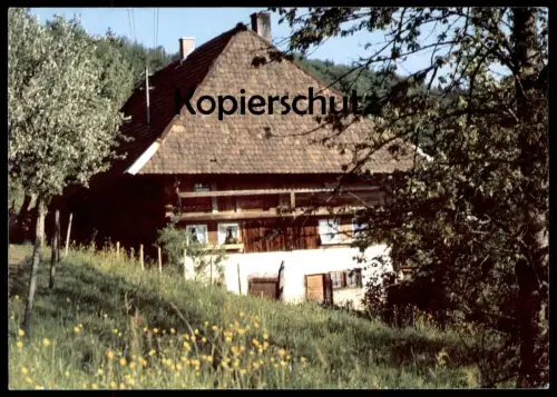 ÄLTERE POSTKARTE BAUERNHOF BAUERNHAUS BLUMENWIESE WIESE SÜDDEUTSCHLAND KIRSCHBAUM cpa postcard AK Ansichtskarte