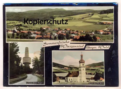 ÄLTERE POSTKARTE SOMMERFRISCHE WARZENRIED BAYERISCHER WALD AUF DEM HOHEN BOGEN NEUKIRCHEN HL. BLUT Eschlkam AK postcard