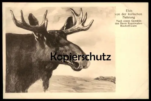 ALTE POSTKARTE RUINEN DES VON RUSSEN ANGEZÜNDETEN SCHAULEN SIAULIAI Litauen Lietuva Lituanie Lithuania postcard cpa AK