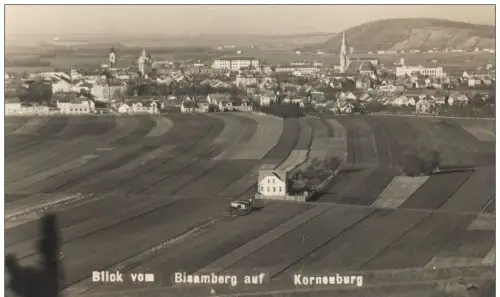 ALTE POSTKARTE BÜCKEBURG ROLAND AM RATHAUS Figur Denkmal cpa AK Ansichtskarte postcard