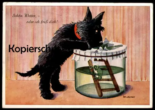 ALTE POSTKARTE SCHÖN WETTER ODER ICH FRESS DICH AUF HUND & FROSCH IRM VON WALMONT dog frog chien grenouille postcard cpa