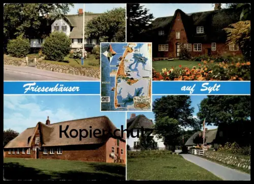 ÄLTERE POSTKARTE INSEL SYLT MUSCHEL SEESTERN sea shell starfish coquillage de mer cpa postcard AK Ansichtskarte