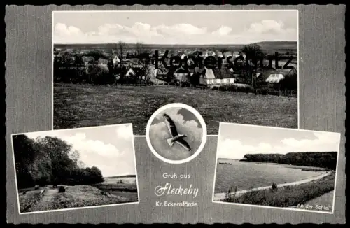 ÄLTERE POSTKARTE GRUSS AUS FLECKEBY KREIS ECKERNFÖRDE AN DER SCHLEI MÖWE VOGEL Ansichtskarte AK postcard cpa