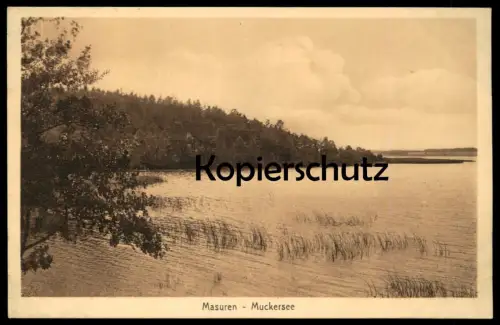 ALTE POSTKARTE OSTSEEBAD HEILIGENHAFEN LESEHALLE VON WESTEN GESEHEN postcard Ansichtskarte cpa AK