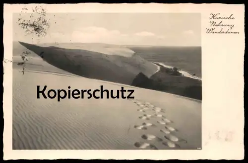 ALTE POSTKARTE KURISCHE NEHRUNG WANDERDÜNEN OSTPREUSSEN Wanderdüne Düne dune Stempel Rossitten Kurisches Haff postcard