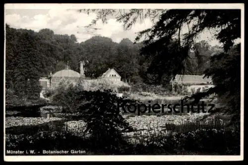 ALTE POSTKARTE MÜNSTER WESTFALEN BOTANISCHER GARTEN botanical garden Ansichtskarte AK postcard cpa