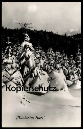 ALTE POSTKARTE LUFTKURORT LYCHEN BLICK ÜBER DEN GROSSEN LYCHEN-SEE GROSSER LYCHENSEE NETZE AK Ansichtskarte cpa postcard