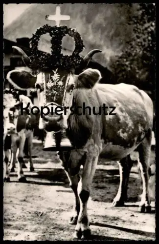 ALTE FOTO POSTKARTE HAMBURG HAMBURGER HAFEN GROSSE HAFEN-RUNDFAHRT HAMBURG BÖDECKER & DRAUZ Schiff harbour Dampfer ship