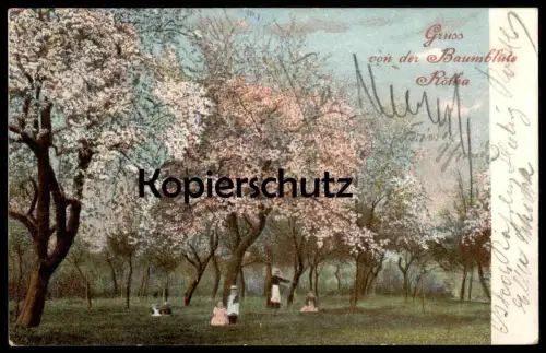 ALTE POSTKARTE GRUSS VON DER BAUMBLÜTE RÖTHA STEMPEL FREIHERRLICH VON FRIESEN'SCHE OBSTWEINSCHÄNKE INH. HÄNDLER