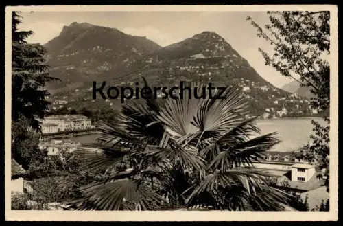 ALTE POSTKARTE LUGANO MONTE BRÈ Palme palm Tessin Suisse Schweiz Helvetia postcard cpa Ansichtskarte AK