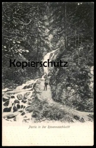 ALTE POSTKARTE SCHWARZWALD PARTIE IN DER RAVENNASCHLUCHT BREITNAU PERSON MIT TORNISTER WANDERER Black Forest Foret-Noire