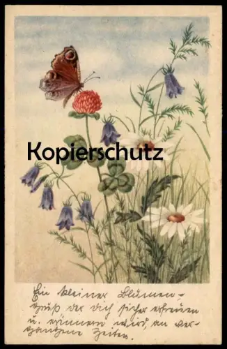 ALTE POSTKARTE PROMOTION 1902/07 STUDENTICA BURG BURGRUINE FOTOGRAF C. HOLLAENDER NAGOLD AK Ansichtskarte postcard cpa