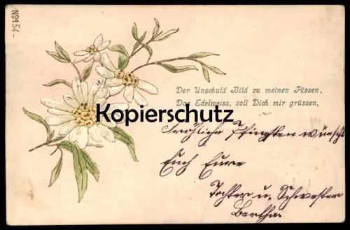 ALTE PRÄGE POSTKARTE EDELWEISS 1901 DER UNSCHULD BILD Pflanze flower embossed postcard cpa gauffrée Ansichtskarte