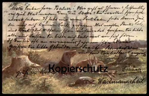 ALTE POSTKARTE EM. SAMSON JAGD HUNDE HASE STEMPEL ZIVILGEFANGENER SENNELAGER KRIEGSGEFANGENER chasse hunting dogs AK cpa