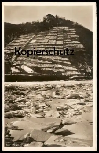 ALTE POSTKARTE SCHWEIZERHAUS DER ZUGEFRORENE RHEIN 1929 Trechtingshausen Bingen rhin gelée frozen rhine cpa AK postcard