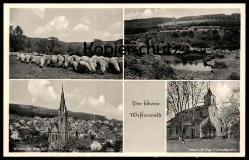 ALTE POSTKARTE RIESENGEBIRGE HAMPELBAUDE MIT TEICHRÄNDER Karpacz cpa AK Ansichtskarte postcard Schlesien