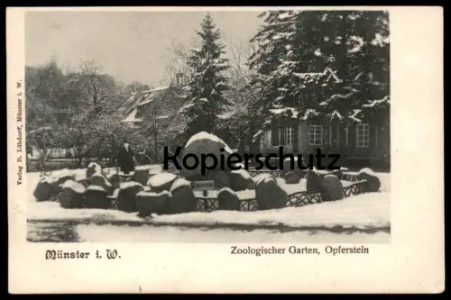 ALTE POSTKARTE DAS NEUE ALTUM-DENKMAL ZU MÜNSTER I. W. monument AK Ansichtskarte cpa postcard