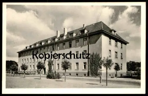 ALTE POSTKARTE MÜNSTER WESTFALEN RESTAURATION KNEIPE BULLENKOPP INNENANSICHT Bullenkopf Ansichtskarte AK postcard cpa