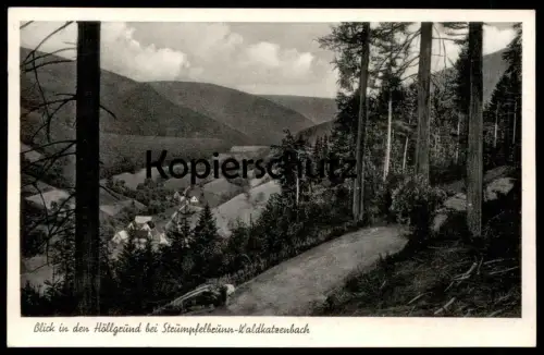 ALTE POSTKARTE RIESENGEBIRGE WIESENBAUDE MIT BLICK AUF SCHNEEKOPPE KÜHE cows vaches Schlesien Ansichtskarte postcard